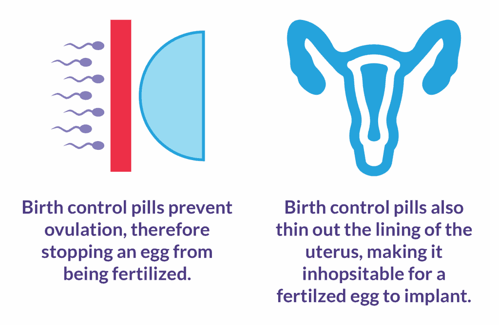 The Big Guide to the Pill - How They Work